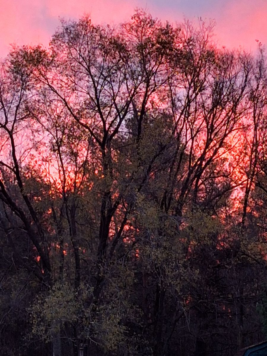 Photographer ccdn0630, Weather Photos in Barrie - Weawow