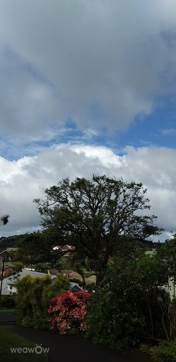 Fotos do tempo em Durban. Previsões do tempo com lindas fotos de Mirelle