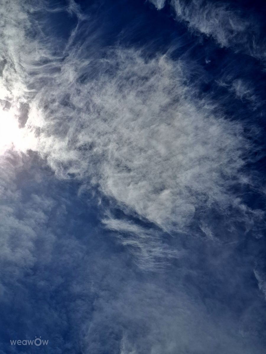 Photographer Wen-ya Huang, Weather Photos in Kaohsiung City - Weawow