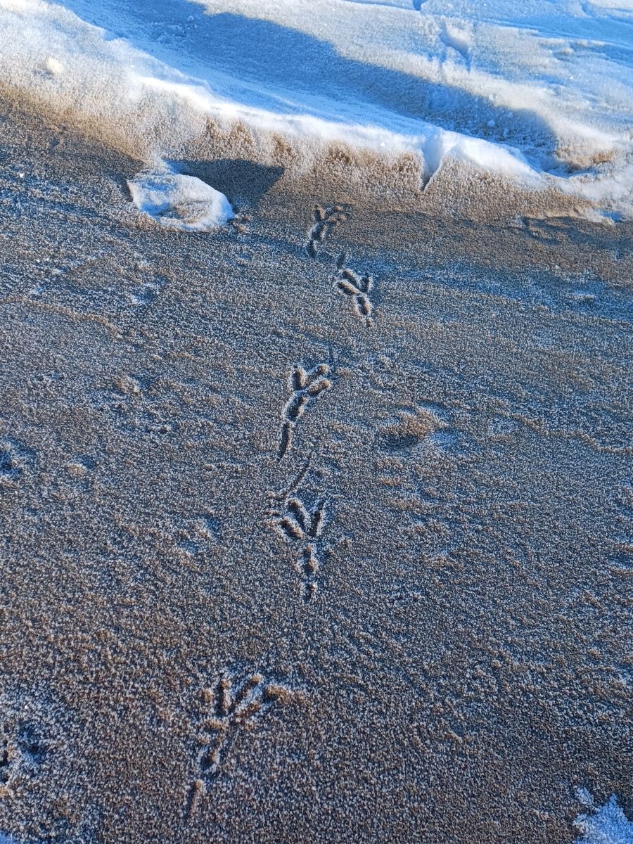 Weather Photos in Hitzacker (Elbe). Weather forecasts with beautiful photos by Hikey