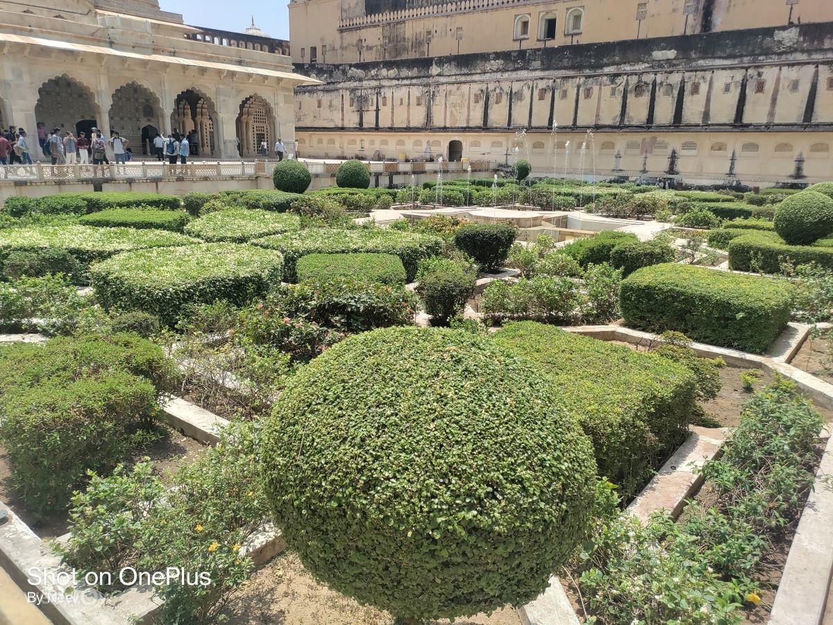 Weather Photos in Amber. Weather forecasts with beautiful photos by Blulotus