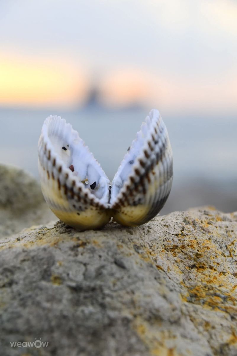Fotografos Малина Павлова, Fotos do tempo em Burgas - Weawow