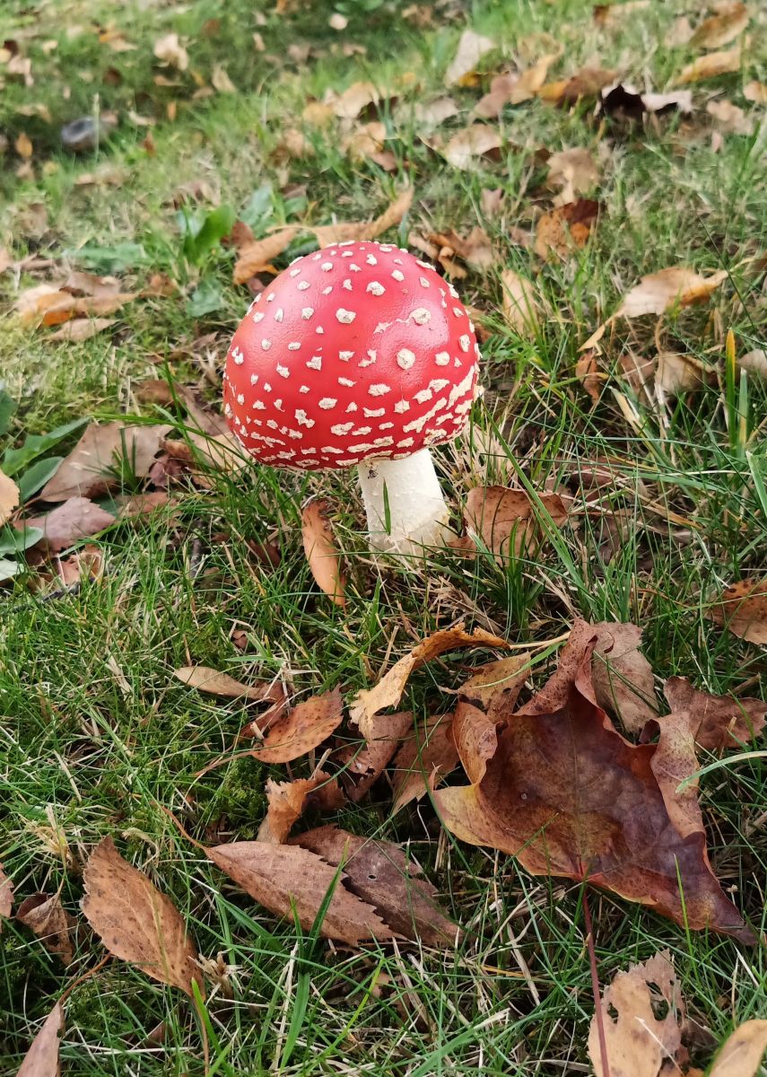 Фотографии Погоды в Нижняя Саксония. Прогнозы погоды с чудесными фотографиями, сделанными fwerner