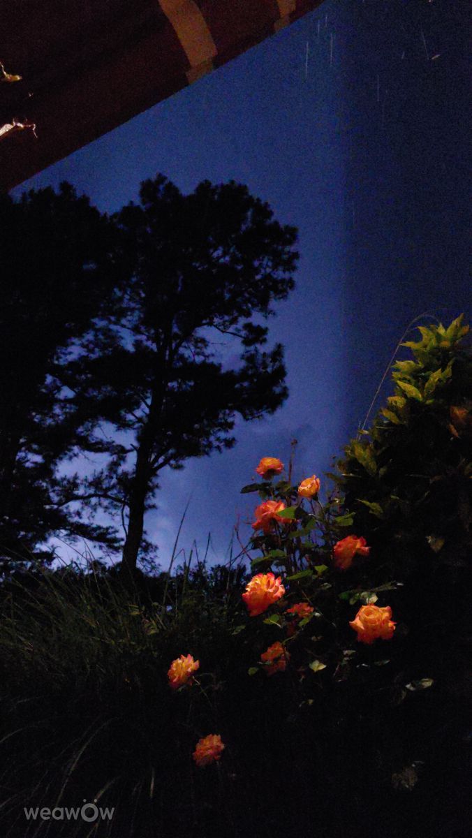 Photos météo à Fallston. Prévisions météo avec de superbes photos de Bwoodwilly