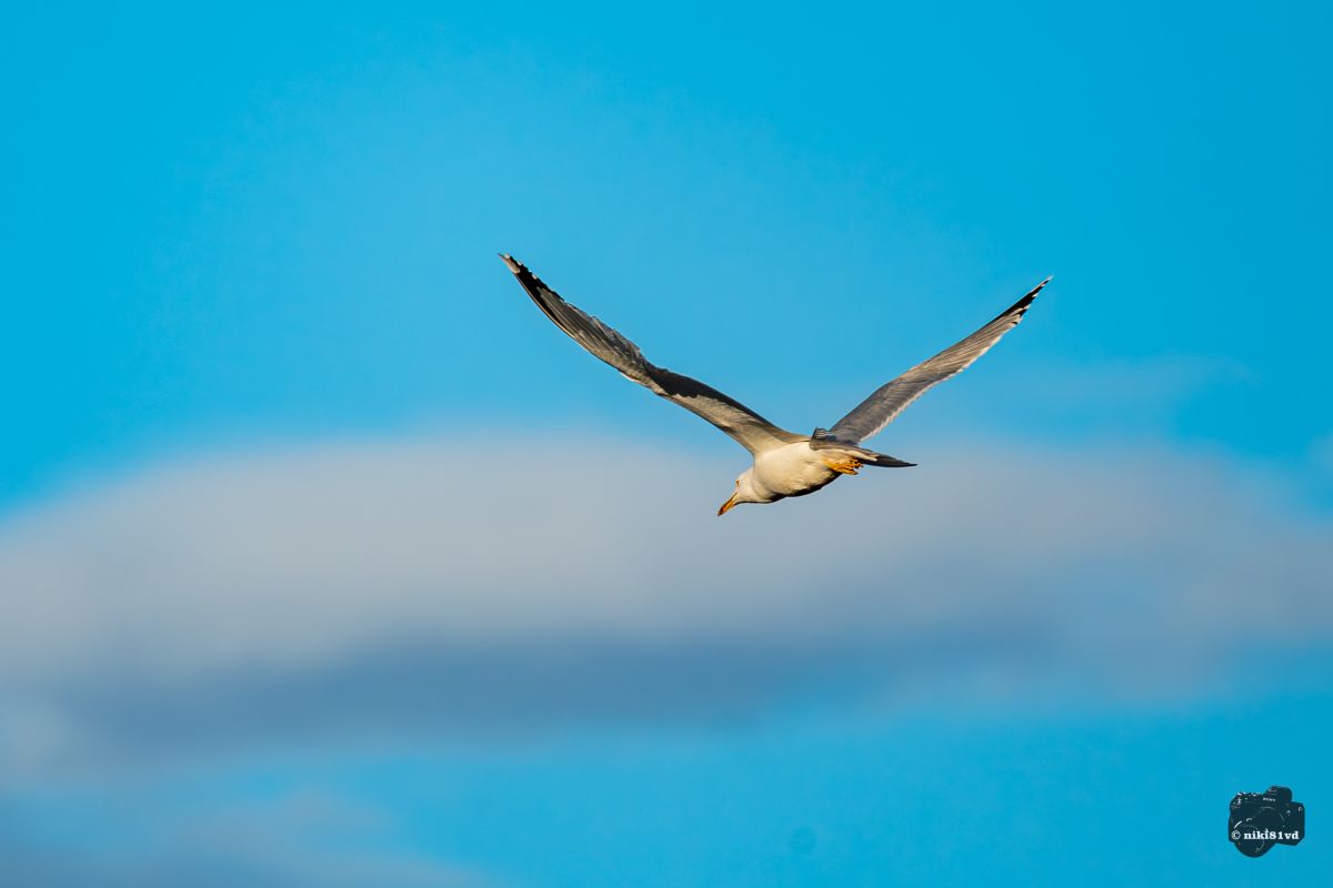 Фотографии Погоды в Пловдив. Прогнозы погоды с чудесными фотографиями, сделанными niki81vd