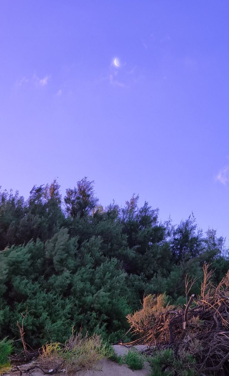 Weather Photos in Buenos Aires. Weather forecasts with beautiful photos by Franexr