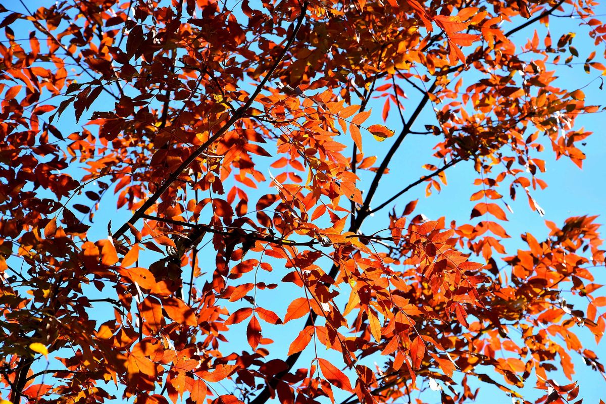 Weather Photos in Arad. Weather forecasts with beautiful photos by ConstantinR