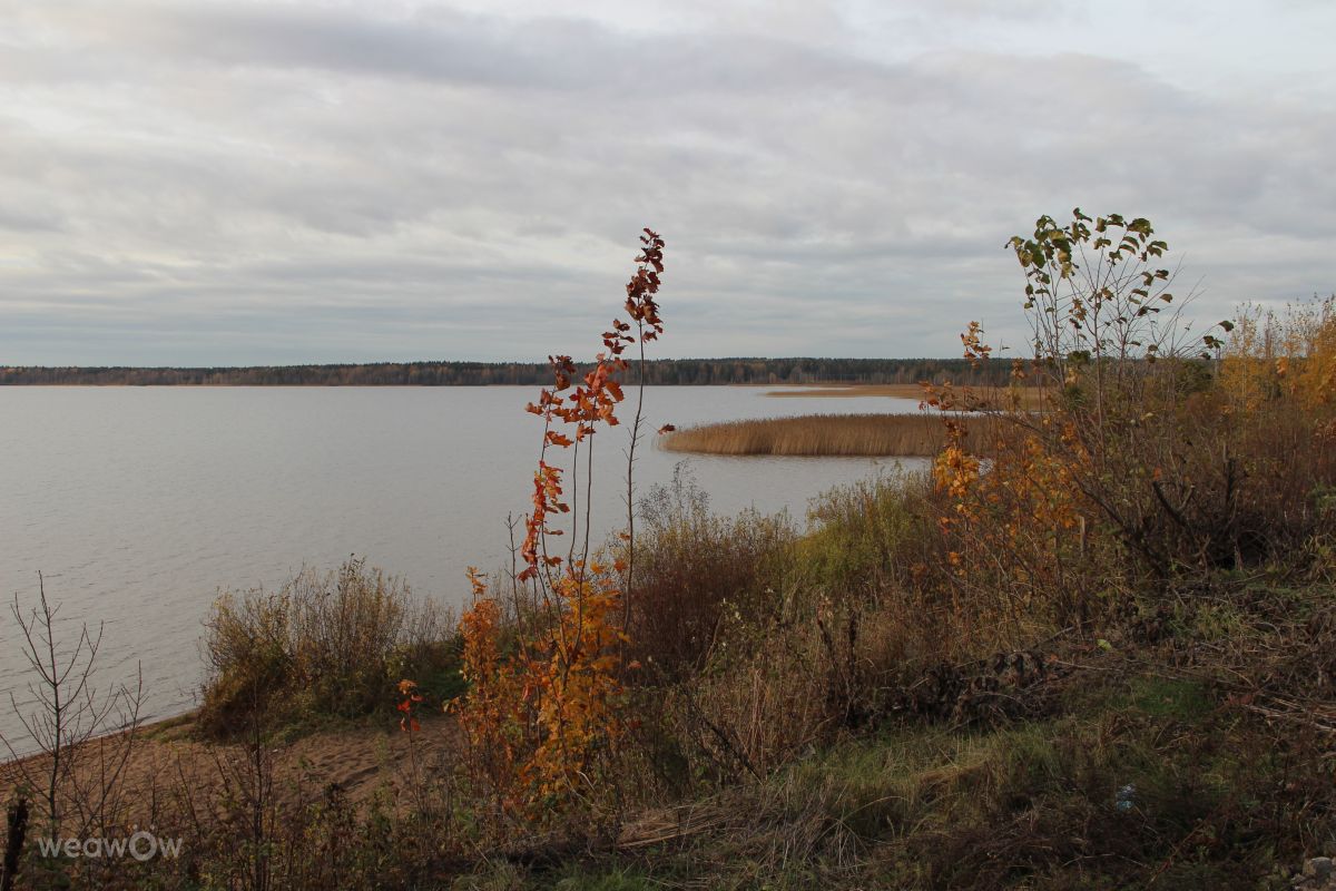 Leningrad的天气照片. 天气预报，带urubu精美的照片