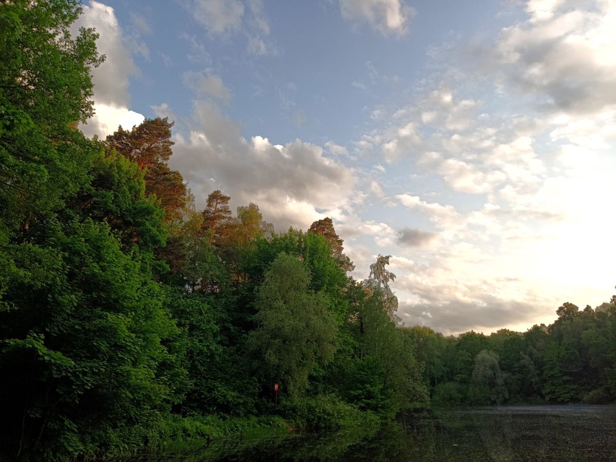 Photographer Amanda_and_Valdemar_Che, Weather Photos in Izmaylovo District - Weawow