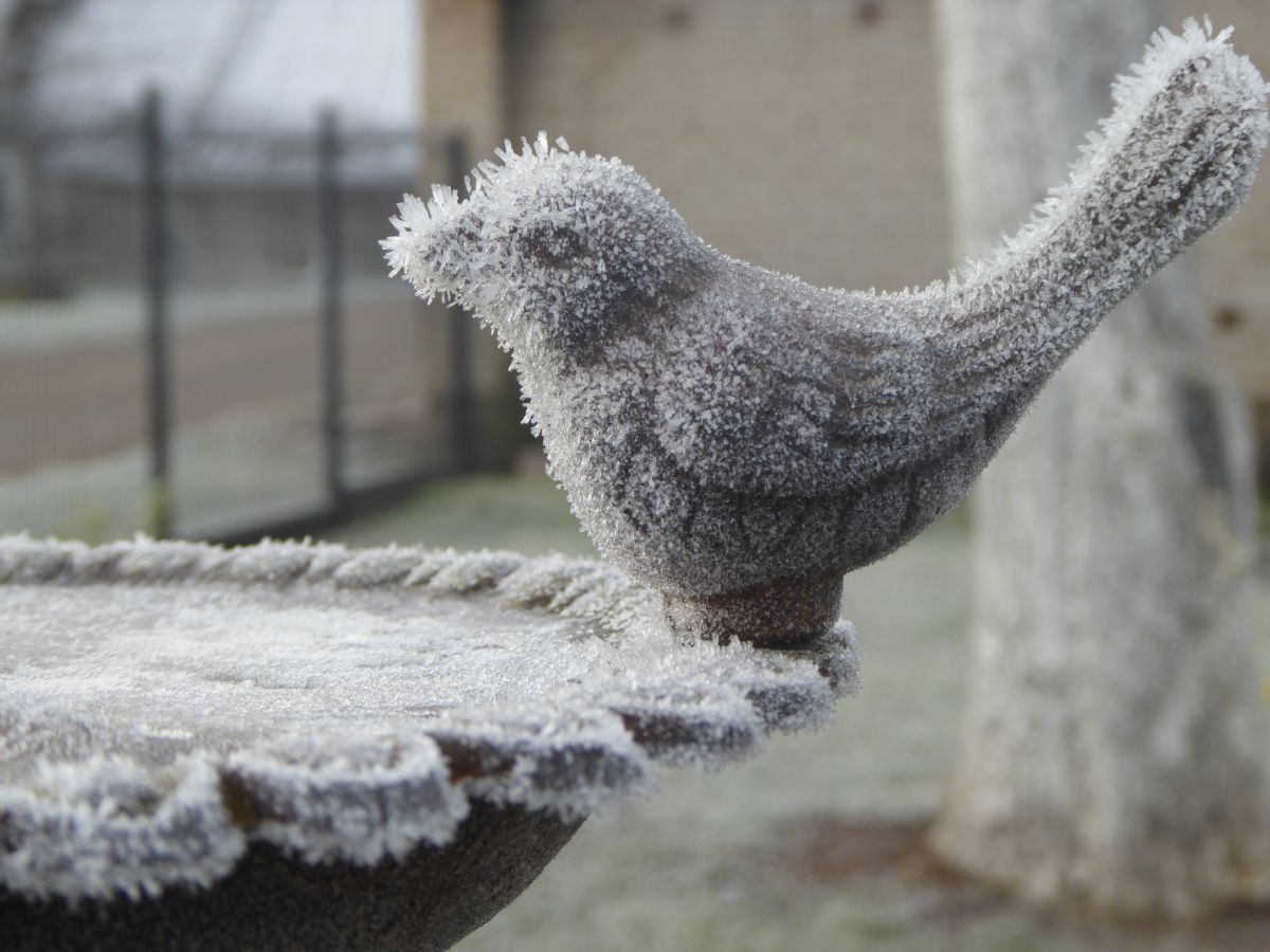 Прогнозы погоды с чудесными фотографиями, сделанными AlmaGenute53