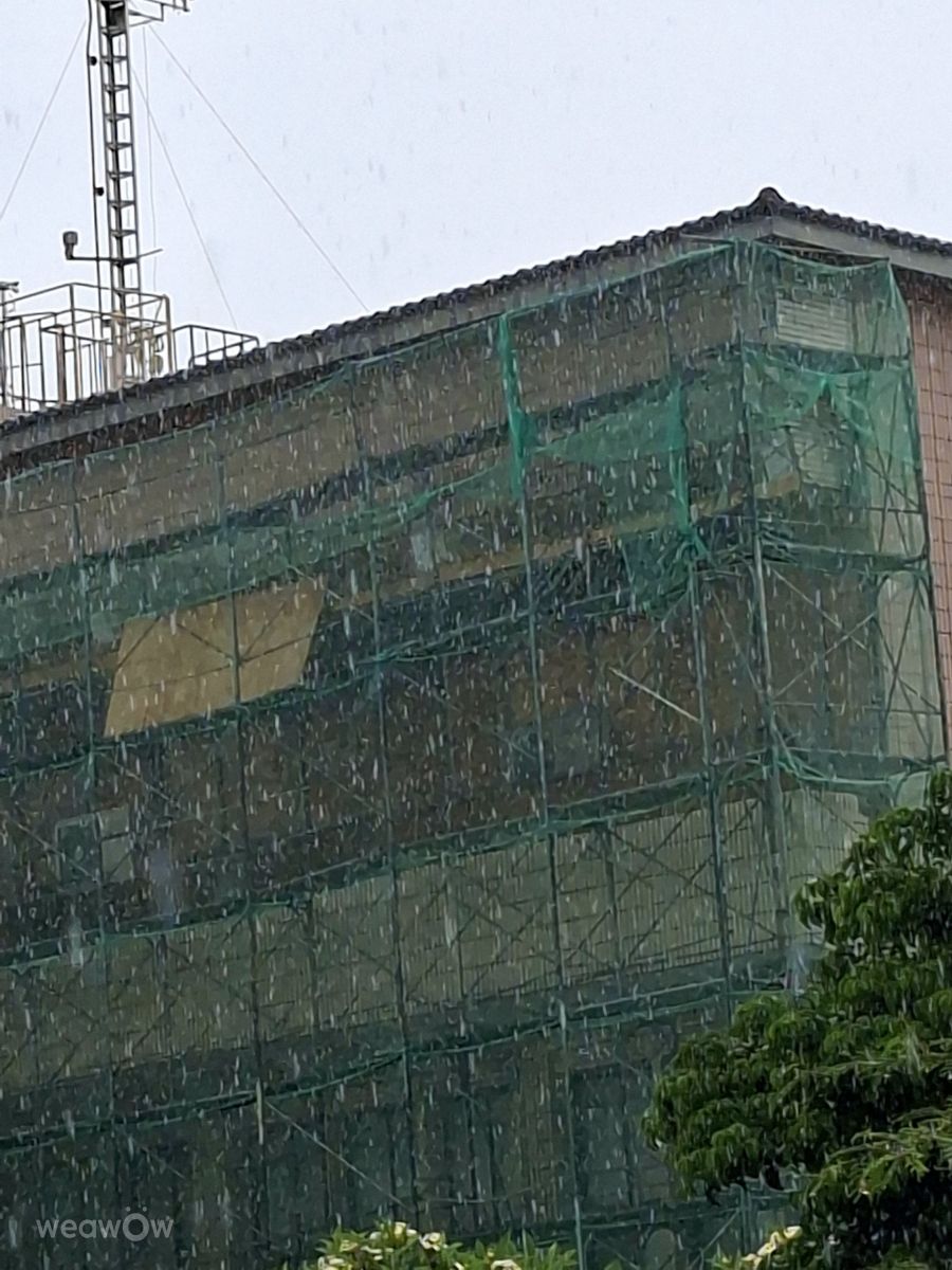 Photographer Wen-ya Huang, Weather Photos in Kaohsiung City - Weawow