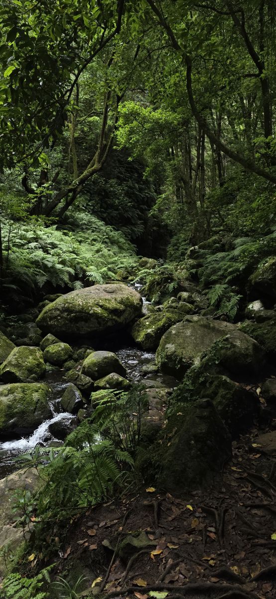 Weather Photos in Portugal. Weather forecasts with beautiful photos by Kubin