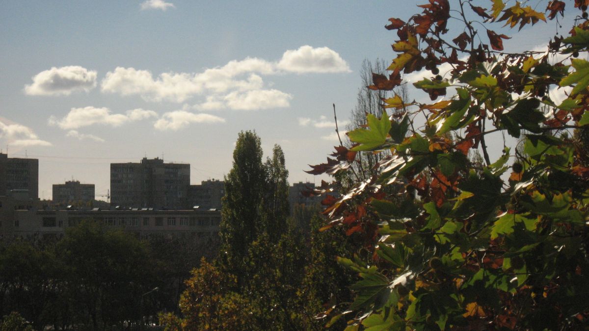 Weather Photos in Odesa. Weather forecasts with beautiful photos by mgmsuut