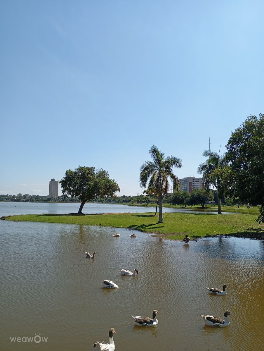 Wetter Photos Três Lagoas. Wettervorhersagen mit schönen Fotos von Marii