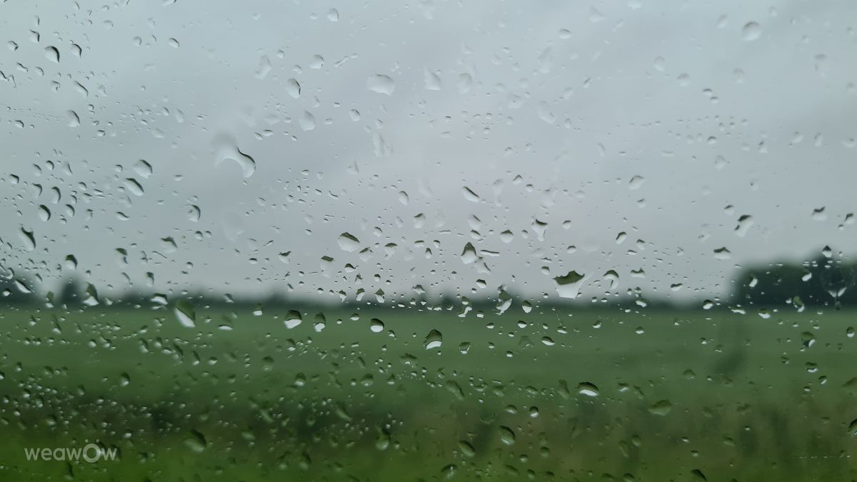 写真家 Mera、Bad Hersfeldの天気写真 - Weawow