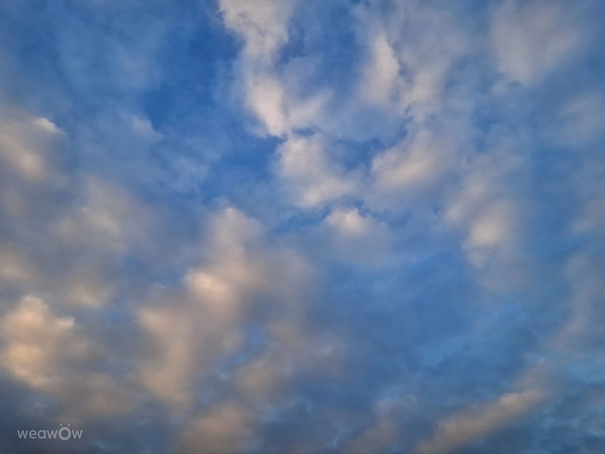 Photographer Wen-ya Huang, Weather Photos in Kaohsiung City - Weawow