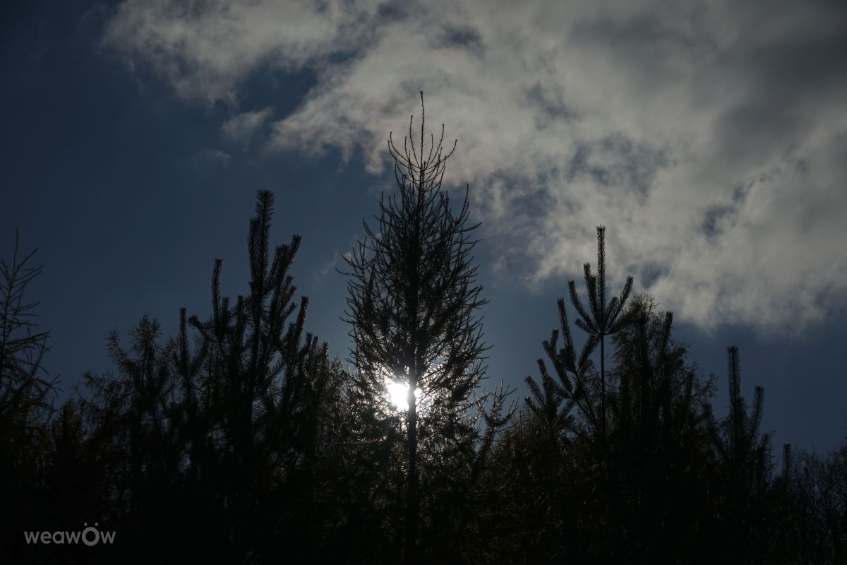 Fotografos Vasek325, Fotos do tempo em Praha 5 - Weawow