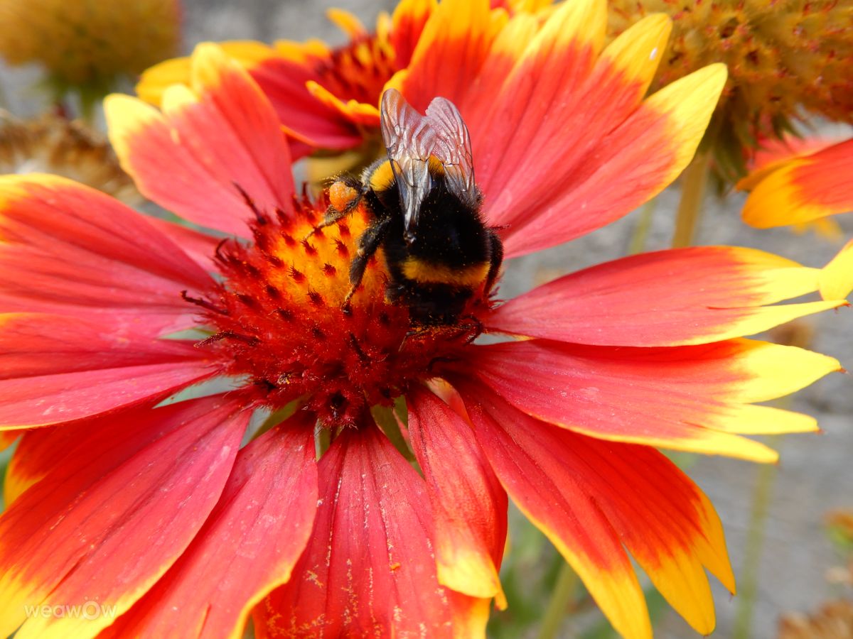 Fotos sobre el clima en Włodawa. Pronósticos del tiempo con hermosas fotos de G_Korczyc