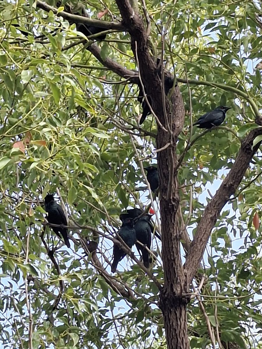 Photos météo à Kaohsiung. Prévisions météo avec de superbes photos de Wen-ya Huang