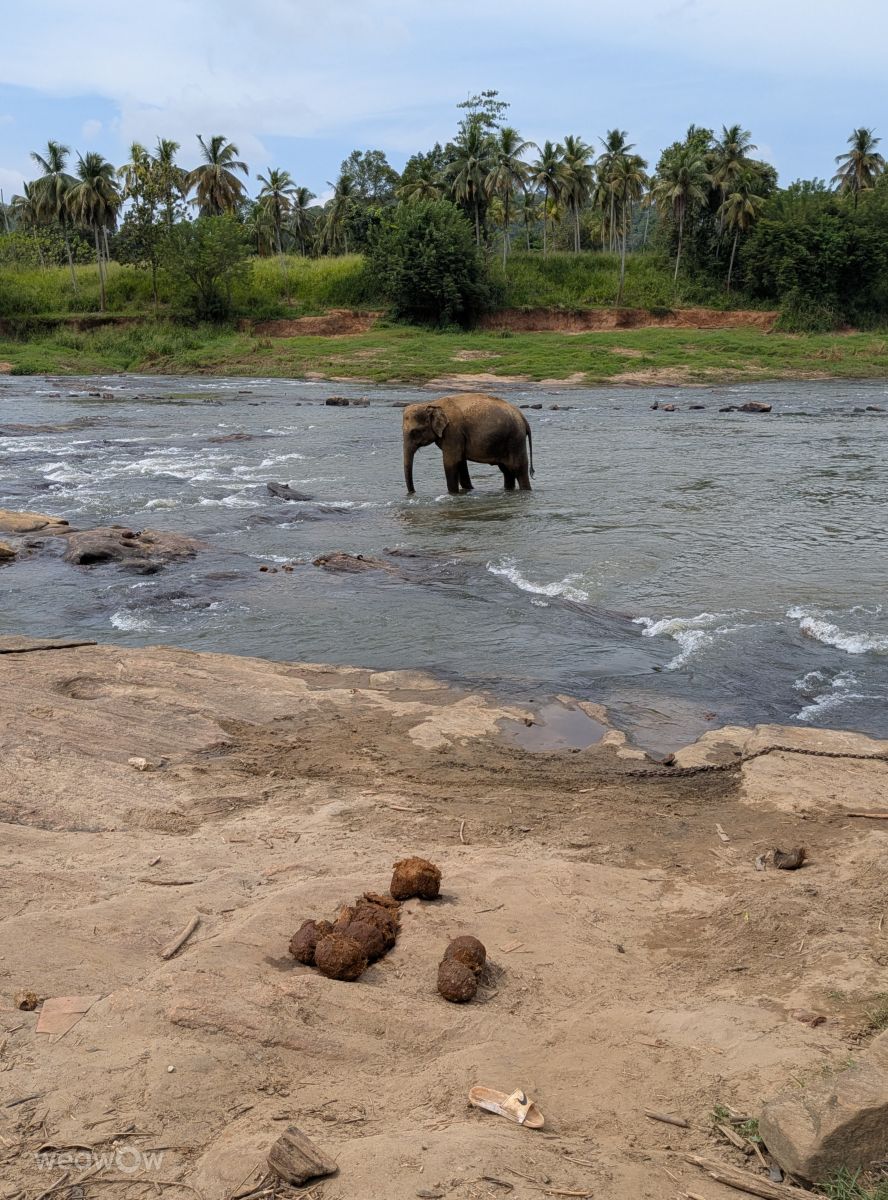 Weather forecasts with beautiful photos by lunatibi