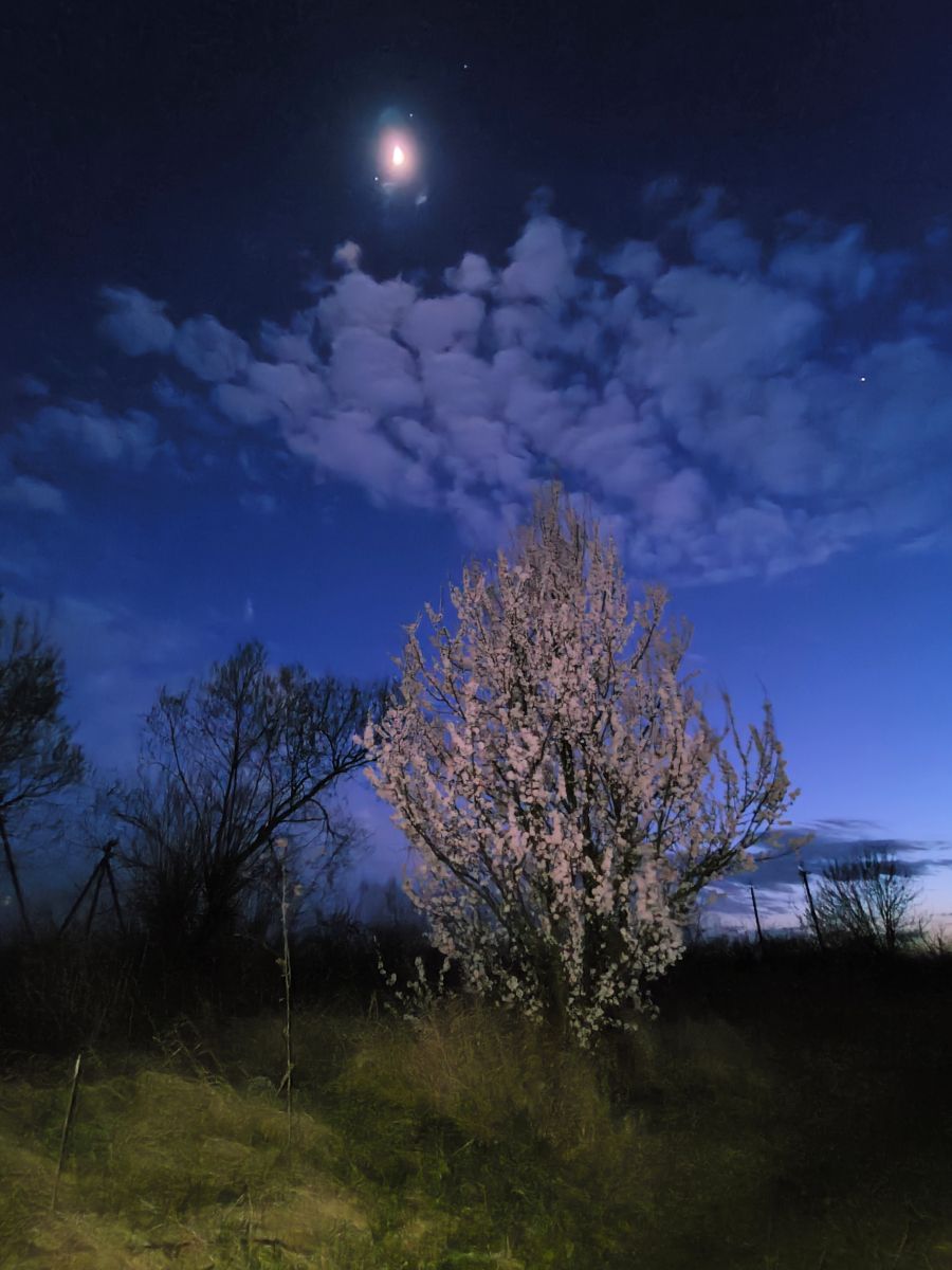 Weather Photos in Pustomyty. Weather forecasts with beautiful photos by Mike Pidhaynyy