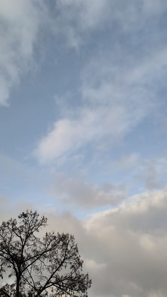 Hình ảnh Thời tiết ở Romania. Dự báo thời tiết với những bức ảnh đẹp của YanBog