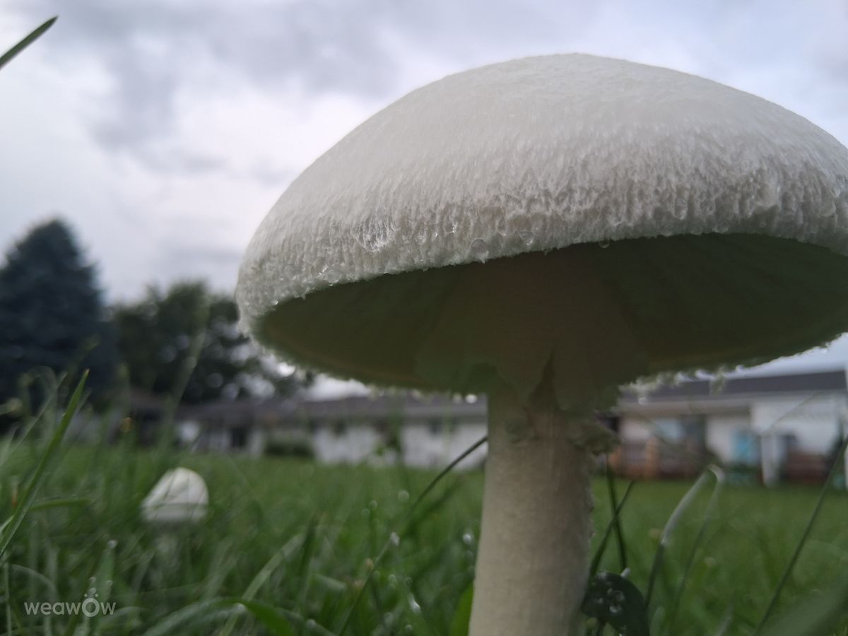 密蘇里州的天气照片. 天气预报，带Sheena Woody精美的照片