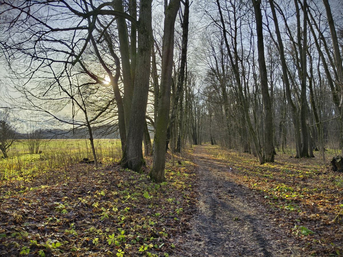 Yasnaya Polyana的天气照片. 天气预报，带Aleksei精美的照片