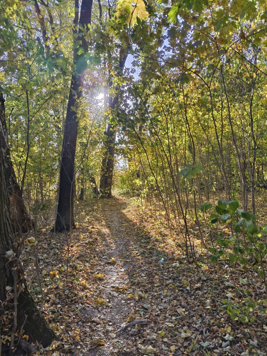 Photographer Aleksei, Weather Photos in Tula - Weawow