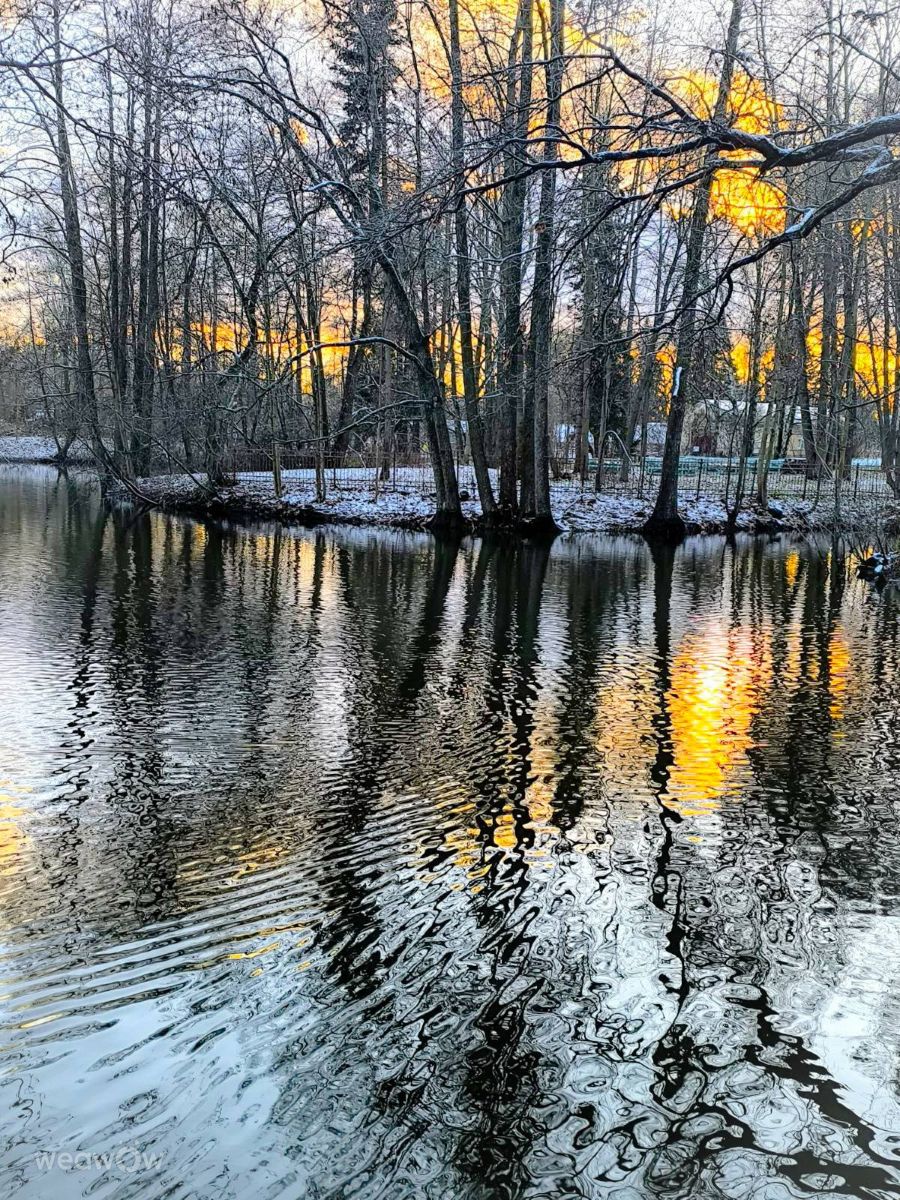 Photographer Jea, Weather Photos in Krestovsky Island - Weawow
