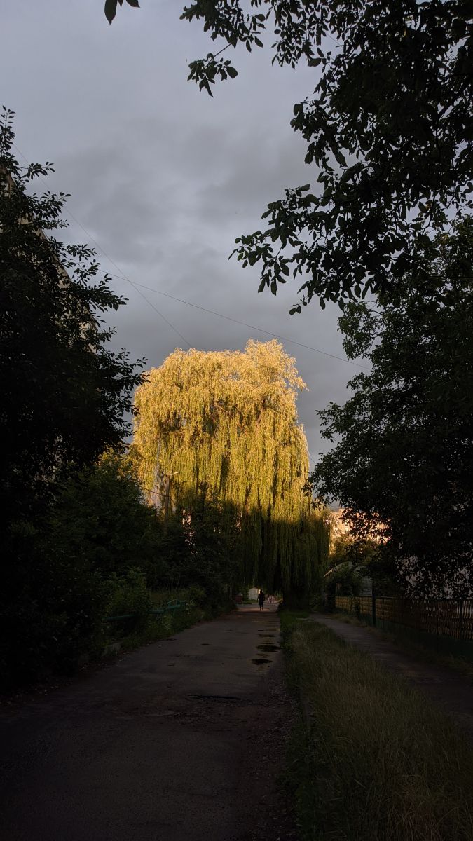 Фотографии Погоды в Фастов. Прогнозы погоды с чудесными фотографиями, сделанными teplota