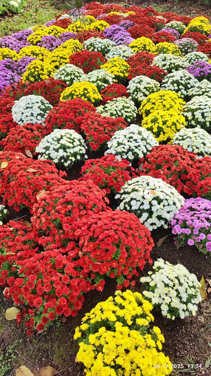 Hình ảnh Thời tiết ở Romania. Dự báo thời tiết với những bức ảnh đẹp của Doru