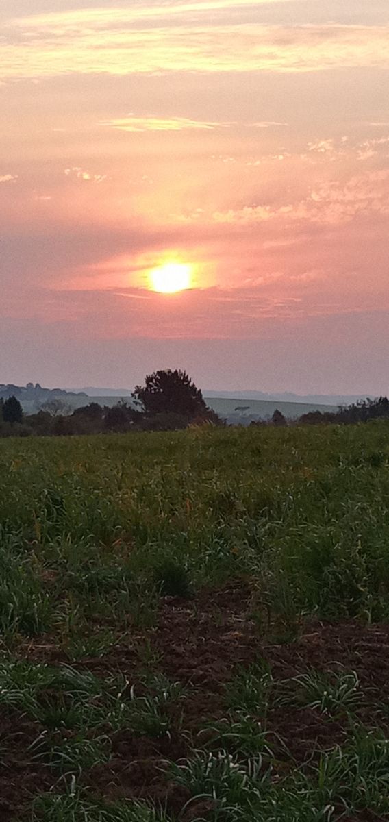 Wetter Photos Vacaria. Wettervorhersagen mit schönen Fotos von ndresilva