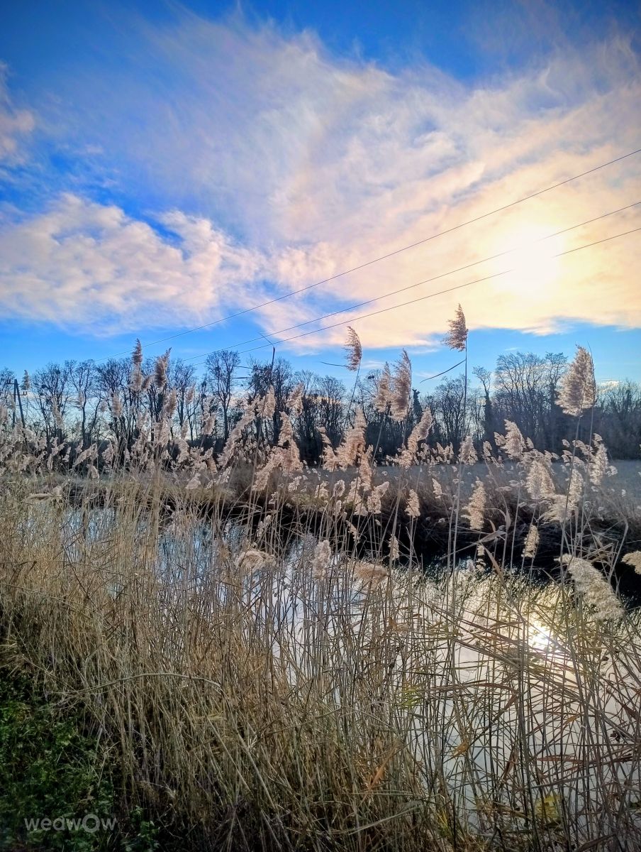 Photograph Kripo, Wetter Photos Leobersdorf - Weawow