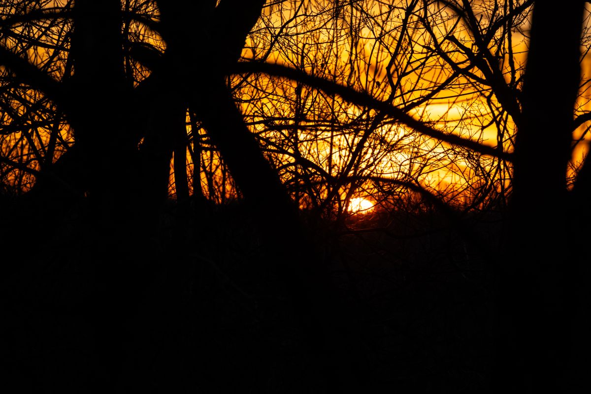 Фотограф krantzjh, Фотографии Погоды в Hanover - Weawow