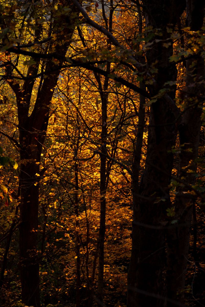 天气预报，带krantzjh精美的照片