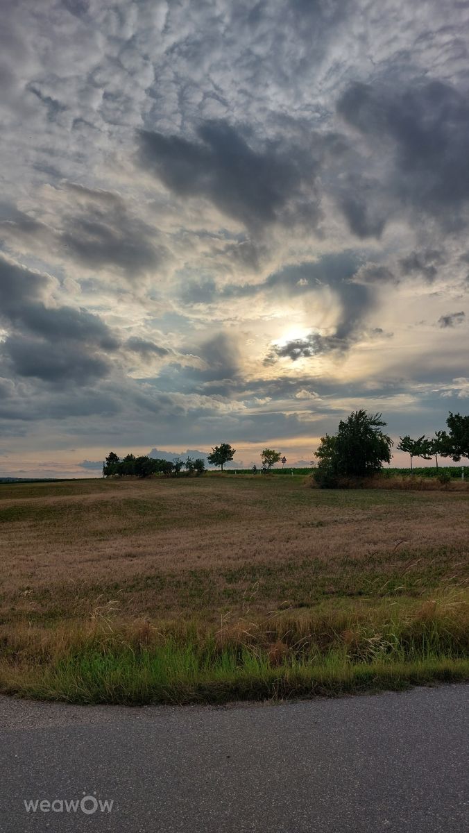 Weather forecasts with beautiful photos by MaLou