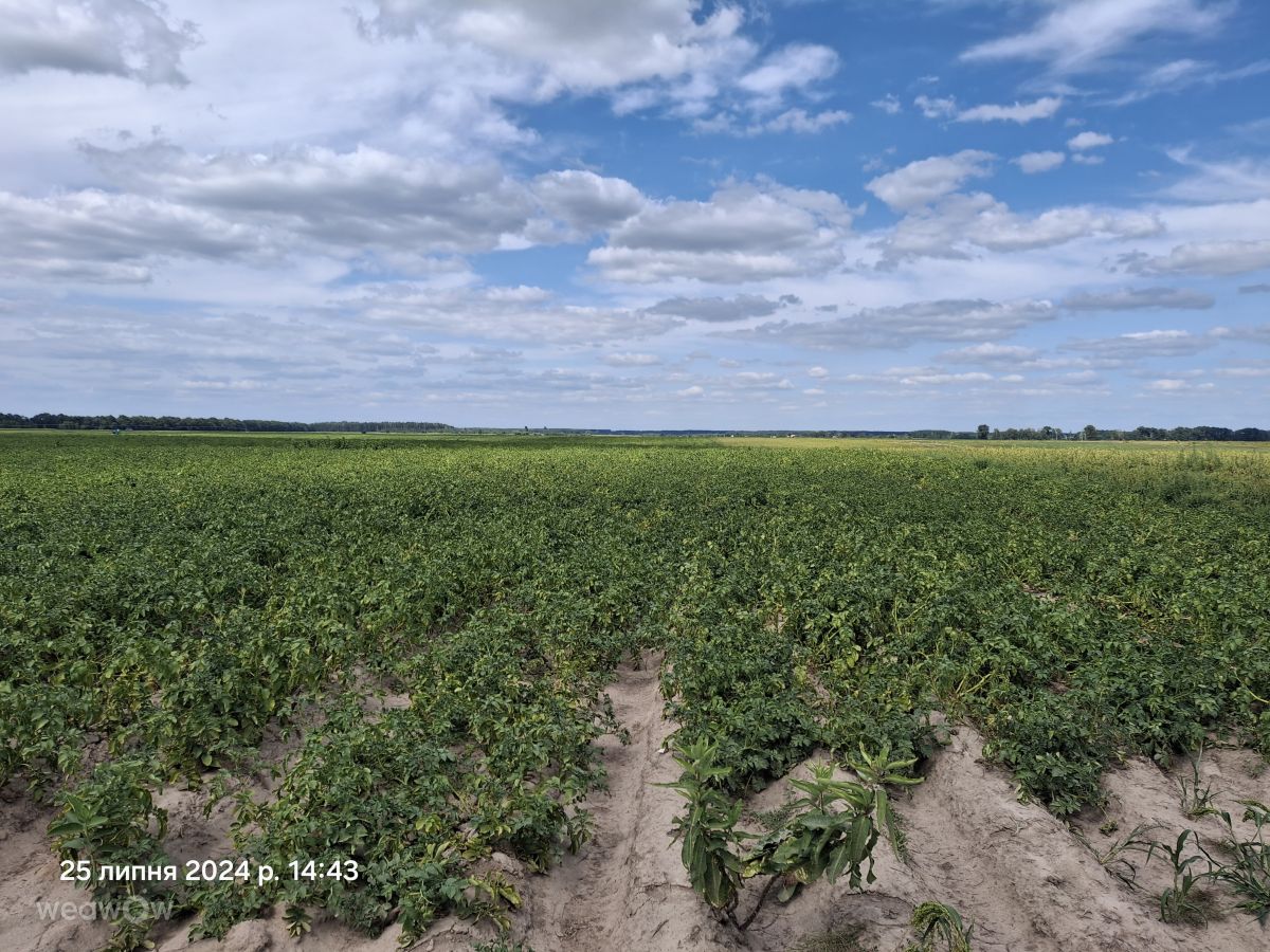 Weather Photos in Chernihiv. Weather forecasts with beautiful photos by SergeyYuzyuk