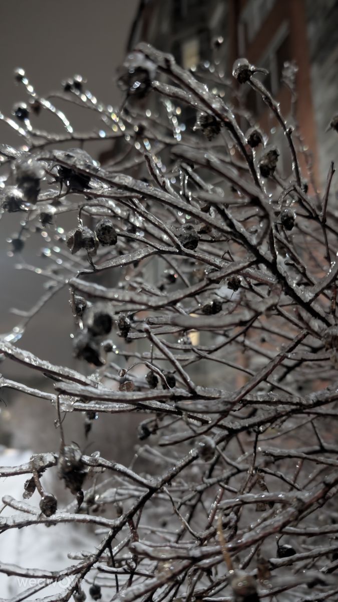 Wetter Photos Smolensk. Wettervorhersagen mit schönen Fotos von Sky777