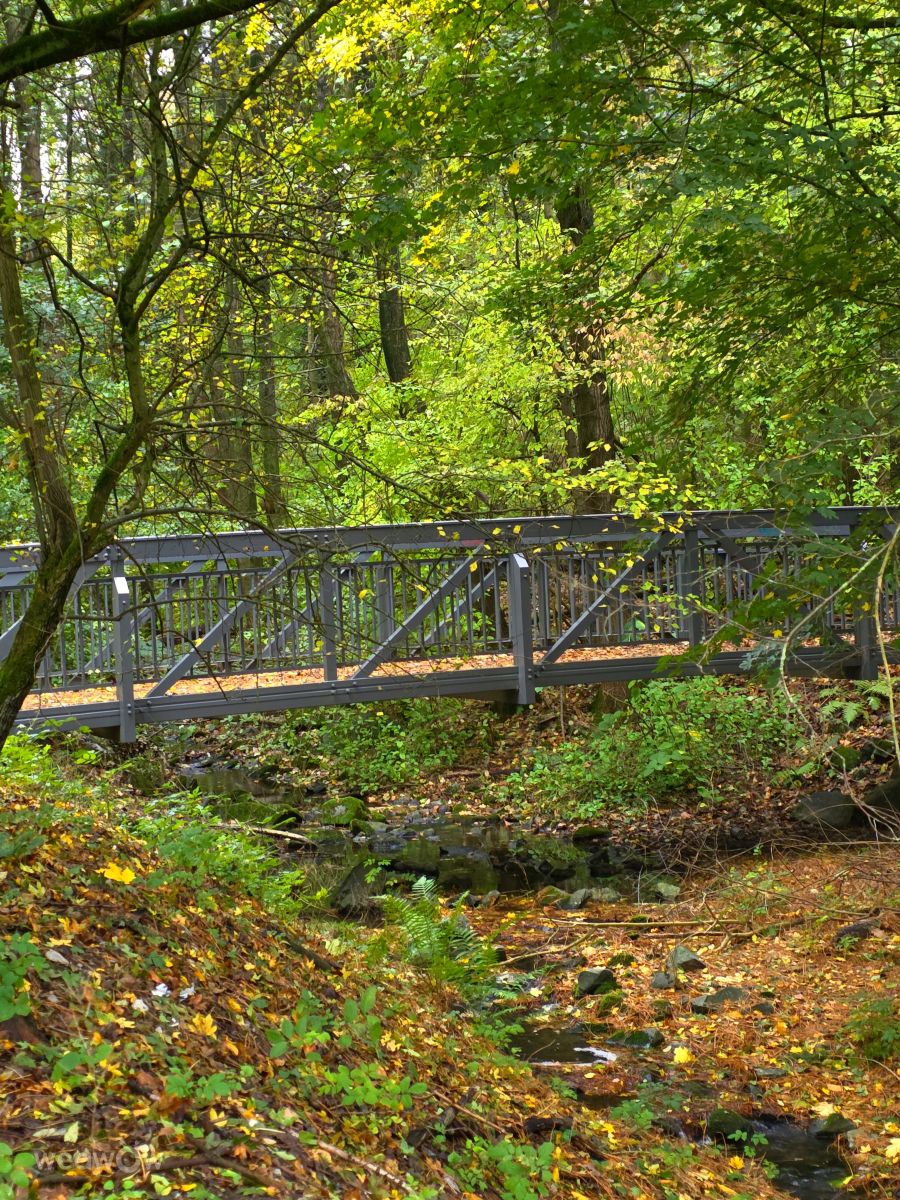 写真家 Seni、Velbertの天気写真 - Weawow