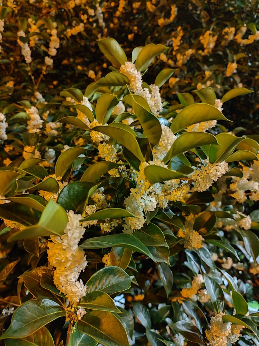 Фотографии Погоды в Сочи. Прогнозы погоды с чудесными фотографиями, сделанными Albert_Smelovtsev