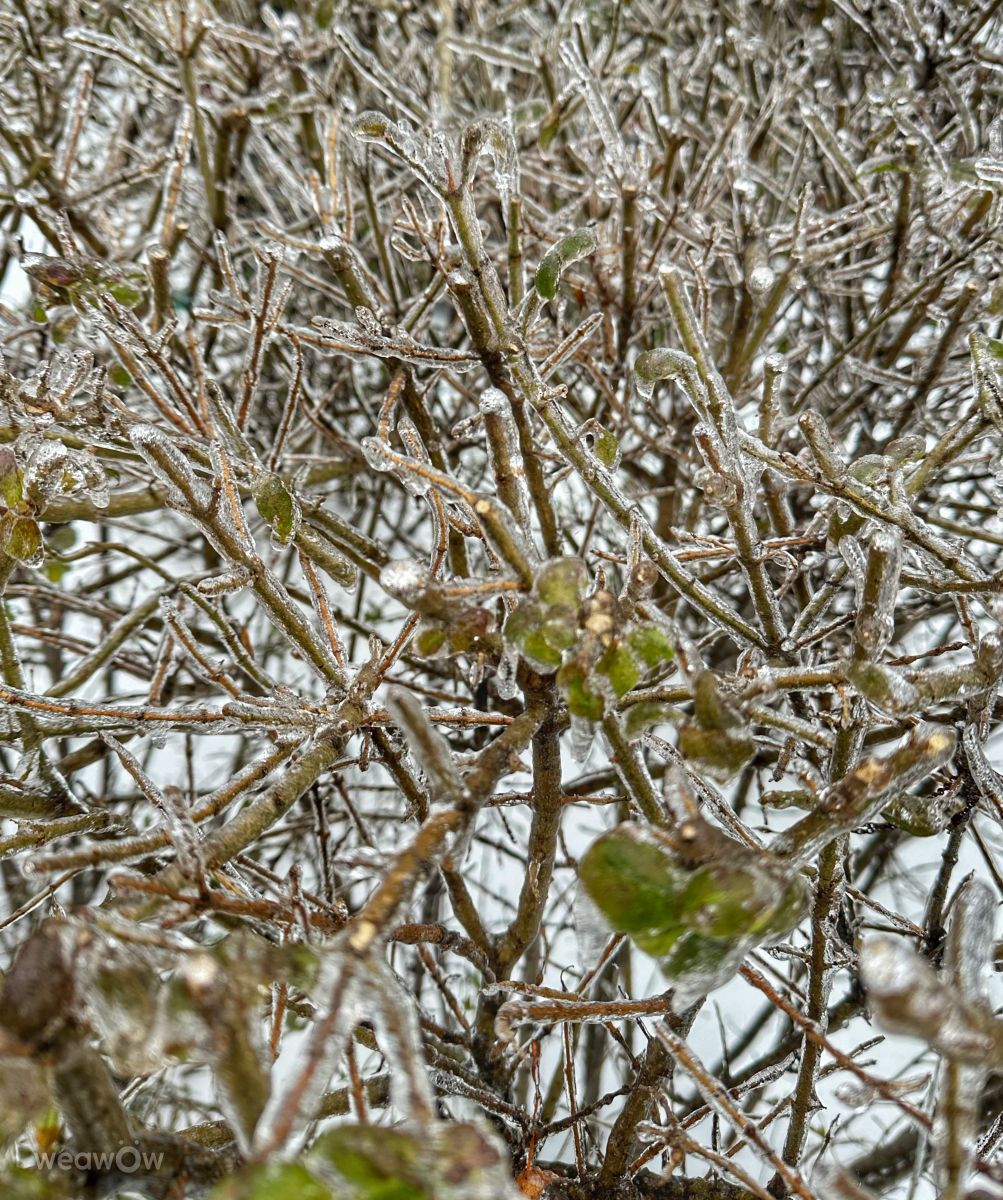Fotos do tempo em Irpin. Previsões do tempo com lindas fotos de Інна