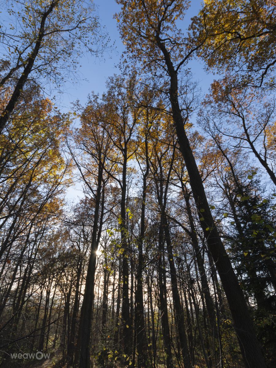 Фотограф Foqus Foto, Фотографии Погоды в Jelenia Góra - Weawow