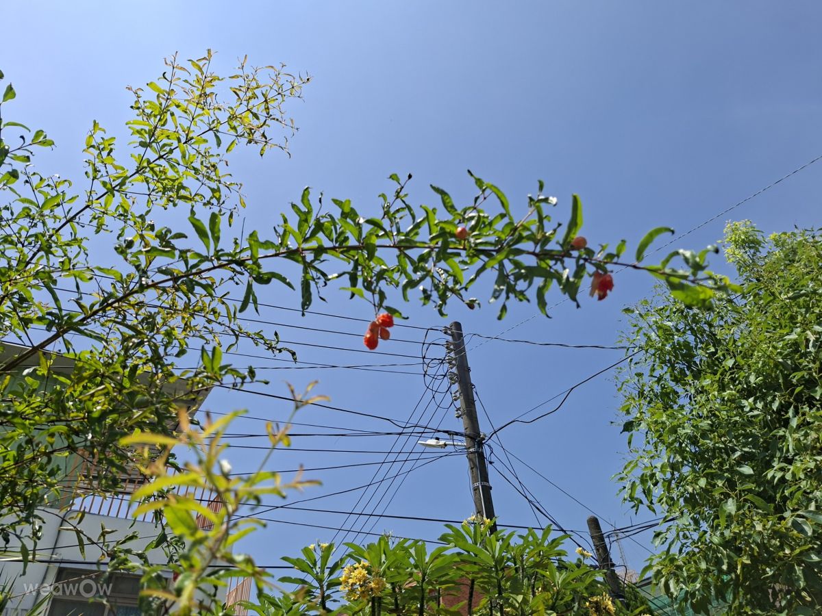 Fotografos Wen-ya Huang, Fotos do tempo em Kaohsiung City - Weawow