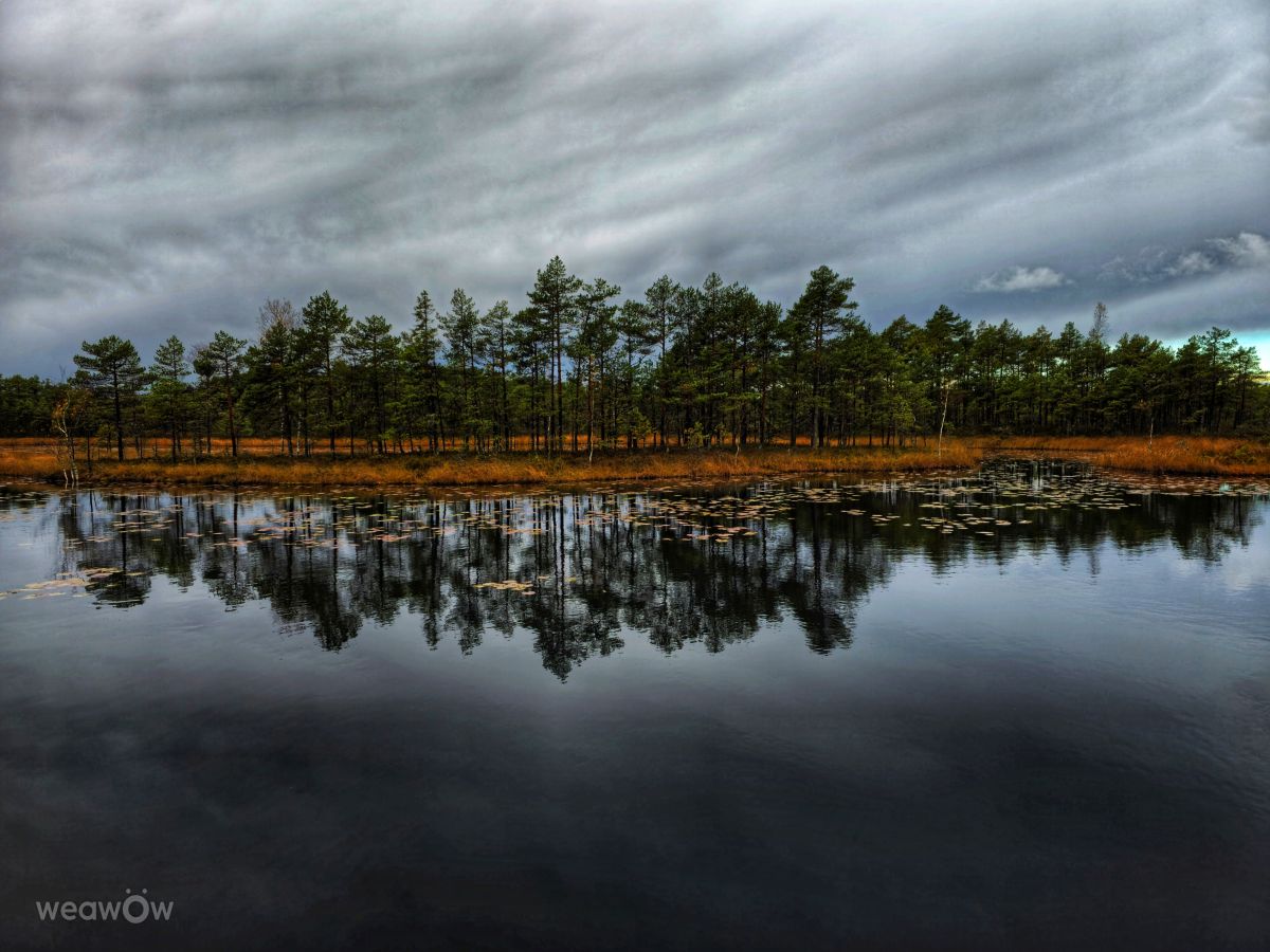 Fotos do tempo em Raplamaa. Previsões do tempo com lindas fotos de Priit