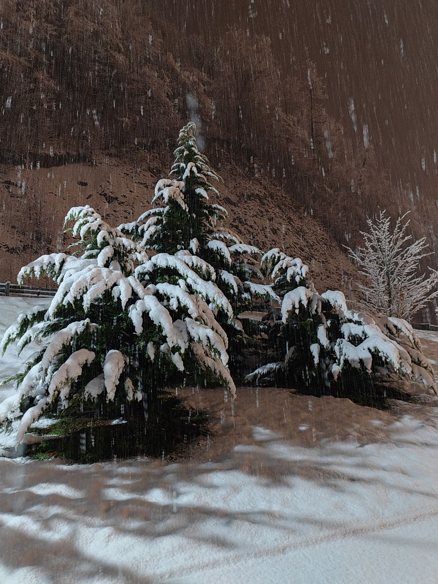 Photograph Albert_Smelovtsev, Wetter Photos Roza Khutor - Weawow