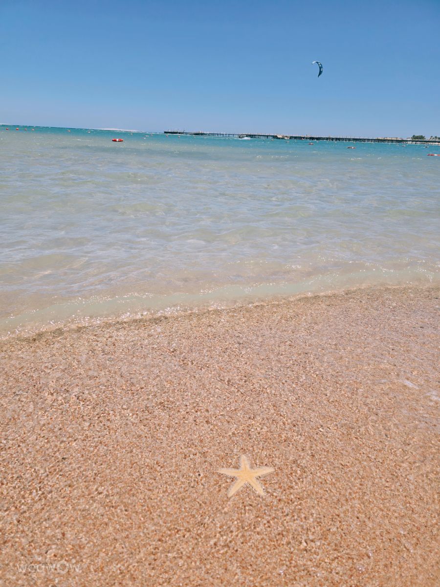 Hình ảnh Thời tiết ở Hurghada. Dự báo thời tiết với những bức ảnh đẹp của Sihmella