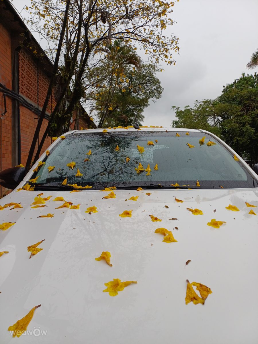 Santa Catarina的天气照片. 天气预报，带Husband_spy精美的照片