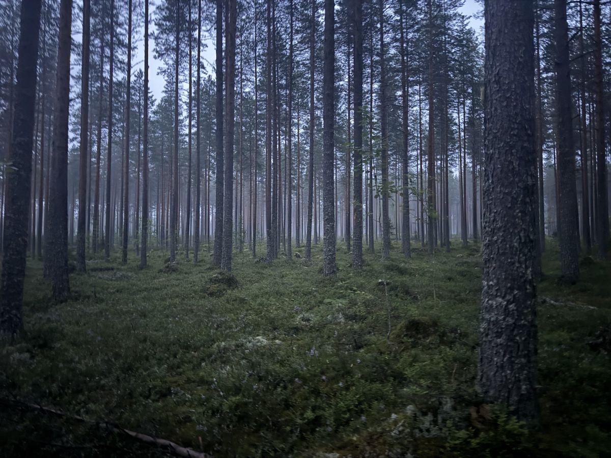 Wetter Photos Finnland. Wettervorhersagen mit schönen Fotos von JuhaK
