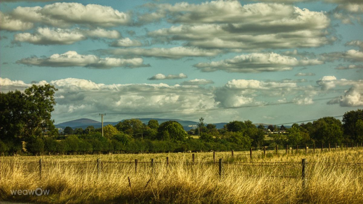 Weather forecasts with beautiful photos by DarekCho